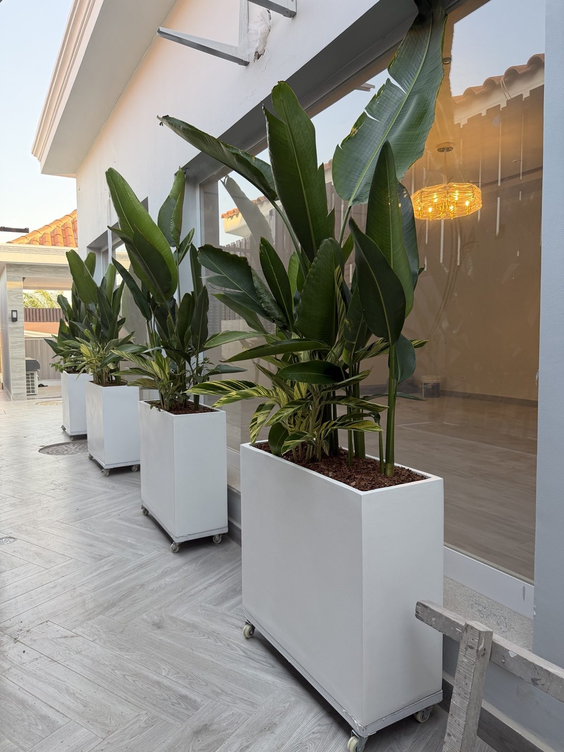 Vasos e plantas numa varanda