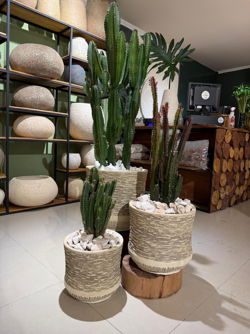 Vasos cilíndricos texturados bege com cactos e pedras brancas