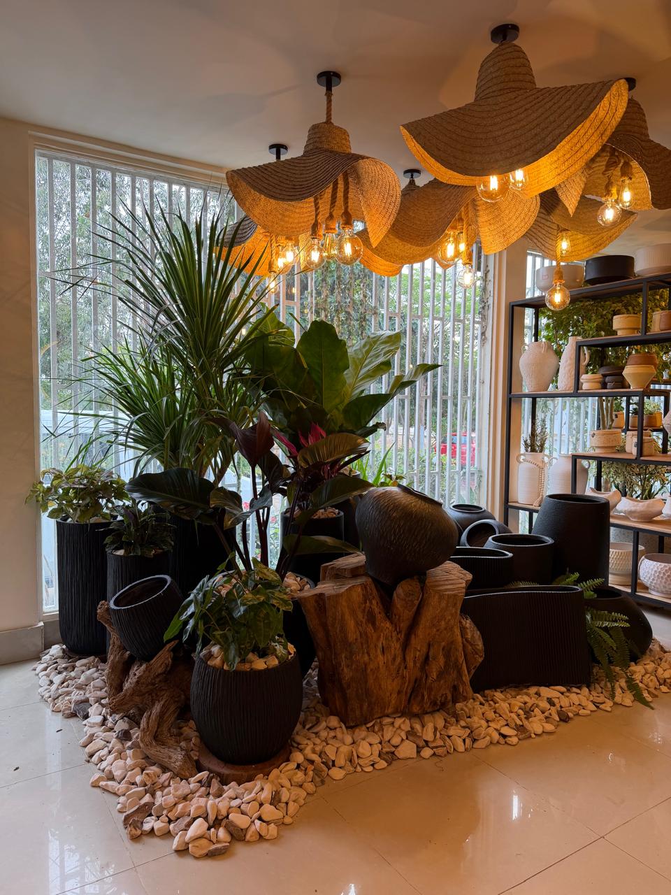 Composição de vasos pretos com plantas, troncos e seixos